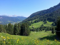 /album/praz-sur-arly-en-images/a17309-937871139593046-5987911557789027197-n-jpg/