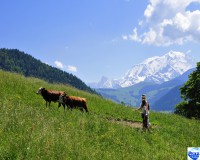 /album/praz-sur-arly-en-images/fond-ecran-ete-6-jpg/