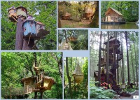 /album/galerie-de-photos-compte-rendu-reunion1/a13-jpg2/