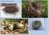 /album/galerie-de-photos-compte-rendu-reunion1/a25-jpg1/