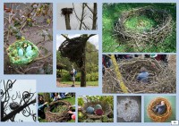 /album/galerie-de-photos-compte-rendu-reunion1/a26-jpg1/